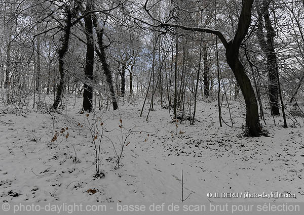 parc de Cointe sous la neige